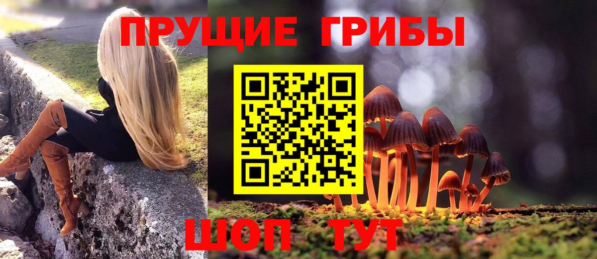 Черногорск  наркошоп  Вход с VPN  Галлюциногенные грибы Psilocybine cubensis 